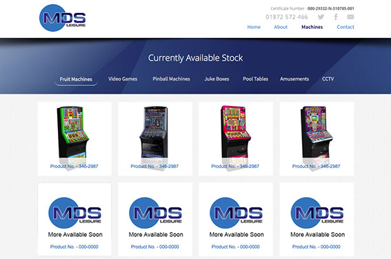 Invisible Inc. Web Design and Graphic - MDS Leisure Newquay Website Design Image 3