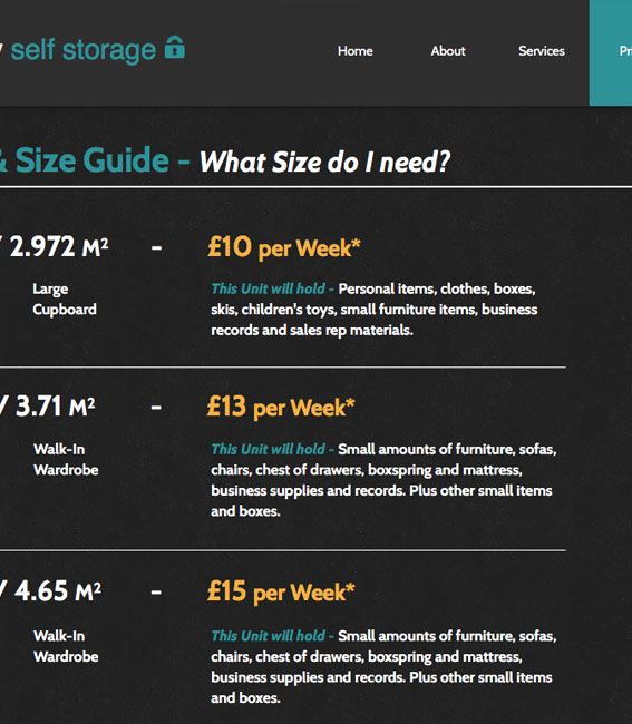 Invisible Inc. Web Design and Graphic - Newquay Self Storage Website Design Image 2