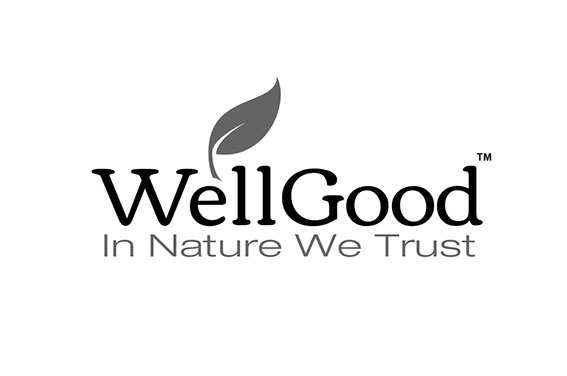 Invisible Inc. Web Design and Graphic - WellGood Superfoods Logo Design 2