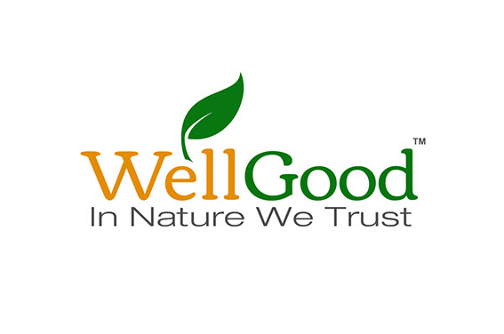 Invisible Inc. Web Design and Graphic - WellGood Superfoods Logo Design 1